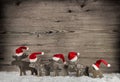 Five wooden handmade reindeer on a background with place for tex