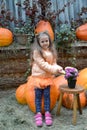 A five-year-old girl with a bouquet of astra sits on a large pumpkin in the yard of a rural house. Autumn Harvest Royalty Free Stock Photo