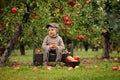 A small smiling boy in an apple orchard sits and holds an apple Royalty Free Stock Photo