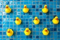 five yellow rubber ducks on tiled wall in pool near other rubber ducks Royalty Free Stock Photo