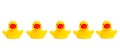 Five yellow rubber toy ducks isolated on a white background Royalty Free Stock Photo