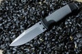 Fixed knife on black seed.