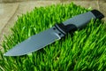 Fixed knife on grass. Cold teperature.