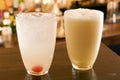Fizzes Collins and Ramos Fizz Royalty Free Stock Photo