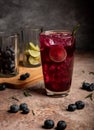 Fizzy Blueberry mojito