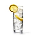A fizzy tom collins with lemon cocktail in a collins glass, isolated on a white background, created by Generative AI. Royalty Free Stock Photo