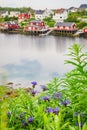 Norwegian fishing village, Reine Lofoten Norway Royalty Free Stock Photo