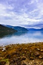 Fjord Hardanger Norway Royalty Free Stock Photo