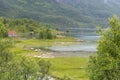 Sheep grazing at green inlet, Tengelfjorden, Norway Royalty Free Stock Photo