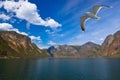 Fjord Naeroyfjord in Norway - famous UNESCO Site Royalty Free Stock Photo