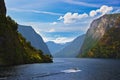 Fjord Naeroyfjord in Norway - famous UNESCO Site Royalty Free Stock Photo