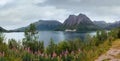 Fjord summer cloudy panorama (Norway Royalty Free Stock Photo