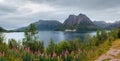 Fjord summer cloudy panorama (Norway Royalty Free Stock Photo