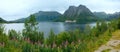 Fjord summer cloudy panorama (Norway) Royalty Free Stock Photo