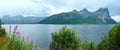 Fjord summer cloudy panorama (Norway) Royalty Free Stock Photo