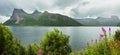 Fjord summer cloudy view, Norway Royalty Free Stock Photo