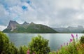 Fjord summer cloudy view, Norway