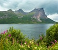 Fjord summer cloudy view, Norway Royalty Free Stock Photo