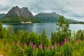 Fjord summer cloudy view, Norway Royalty Free Stock Photo