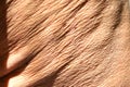 Flabby wrinkled skin on the human body