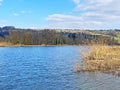 Flach lake or Flachsee in the natural protection zone Aargau Reuss river plain Naturschutzzone Aargauische Auen in der Reussebene Royalty Free Stock Photo