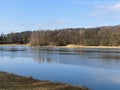 Flach lake or Flachsee in the natural protection zone Aargau Reuss river plain Naturschutzzone Aargauische Auen in der Reussebene Royalty Free Stock Photo