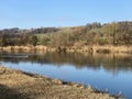 Flach lake or Flachsee in the natural protection zone Aargau Reuss river plain Naturschutzzone Aargauische Auen in der Reussebene Royalty Free Stock Photo