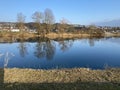 Flach lake or Flachsee in the natural protection zone Aargau Reuss river plain Naturschutzzone Aargauische Auen in der Reussebene Royalty Free Stock Photo