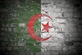 Flag of Algeria on brick wall Royalty Free Stock Photo