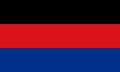 flag of Anglo Frisian peoples East Frisians. flag representing ethnic group or culture, regional authorities. no flagpole. Plane
