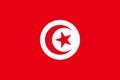 flag of Arab peoples Tunisians. flag representing ethnic group or culture, regional authorities. no flagpole. Plane layout, design Royalty Free Stock Photo