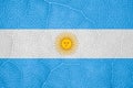 Flag of Argentina on the structure of the green leaf of the tree macro Royalty Free Stock Photo