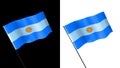 Flag of argentina on white and black backgrounds Royalty Free Stock Photo