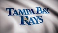 Flag of the Baseball Tampa Bay Rays, american professional baseball team logo, seamless loop. Editorial animation