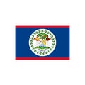 Flag of Belize color line element. Vector element for web page Royalty Free Stock Photo