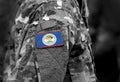 Flag of Belize on soldiers arm. Flag of Belize on military uniforms (collage).