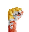 Flag of Bhutan painted on human fist like victory symbol