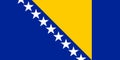 Flag of Bosnia and Herzegovina vector illustration