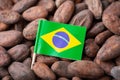 Flag of Brazil on cacao beans