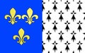 Flag of Brest, France