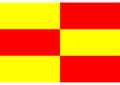Flag of Briceni-original