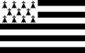 Flag of Brittany, France