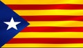 Flag of catalonia yellow and red strip with star waving texture