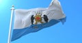 Flag of the city and administrative center of Veliky Novgorod, Russia. Loop