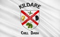 Flag of County Kildare is a county in Ireland