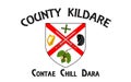 Flag of County Kildare is a county in Ireland