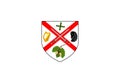 Flag of County Kildare is a county in Ireland