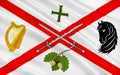 Flag of County Kildare is a county in Ireland