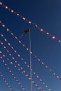 A flagpole with the flag of the Divine Eternal Father.