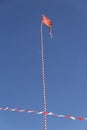 A flagpole with the flag of the Divine Eternal Father.